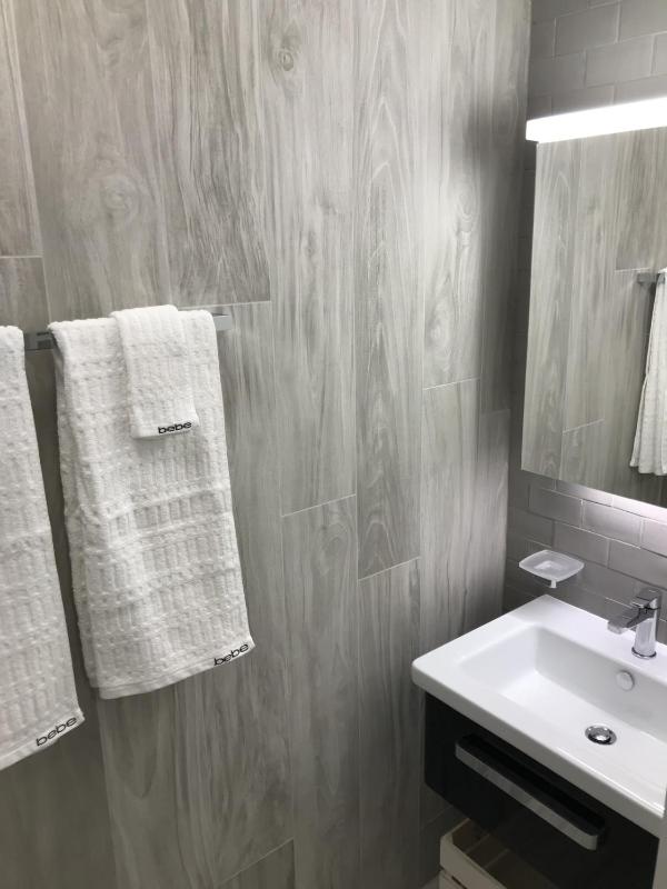 Studio Apartment image 4
