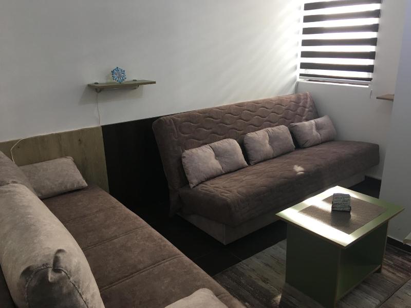 One-Bedroom Apartment image 2
