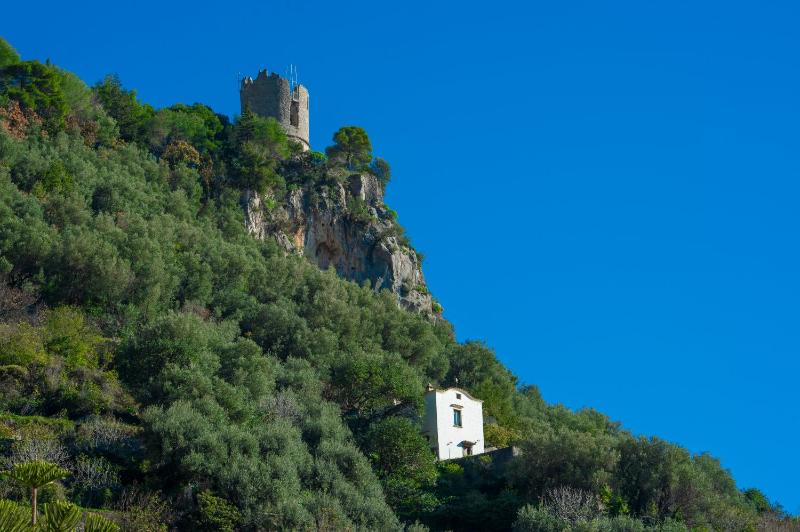 Stella Marina - image 12