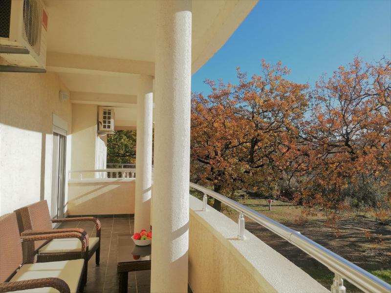 One-Bedroom Apartment image 2