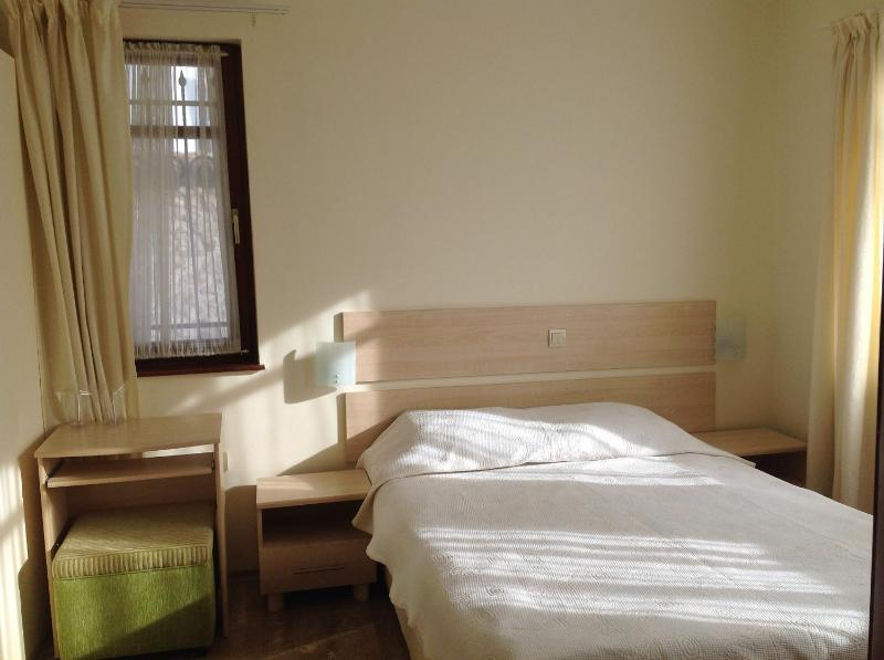 Economy Single Room - No Balcony image 3