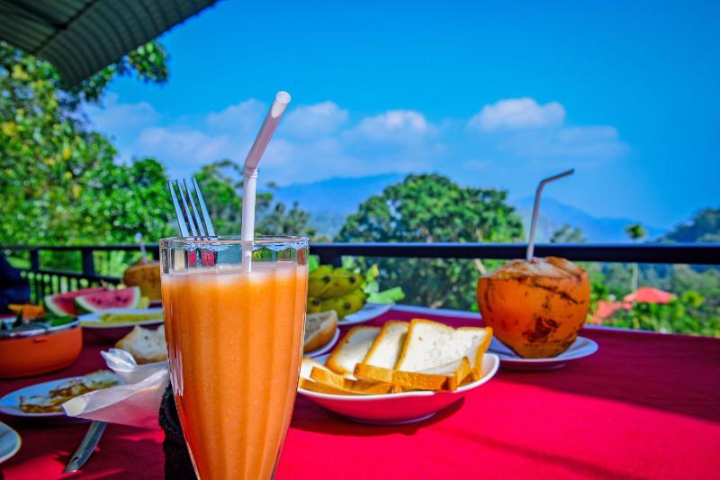 Dimuthu Homestay Ella - image 7