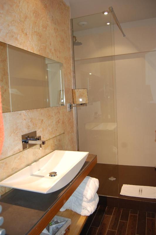 Double or Twin Room image 1