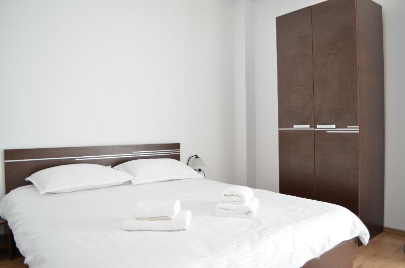 One-Bedroom Apartment image 4