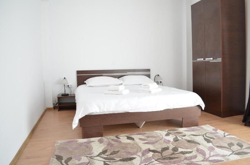 One-Bedroom Apartment image 2