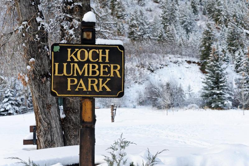 One-Bedroom Apartment image 2