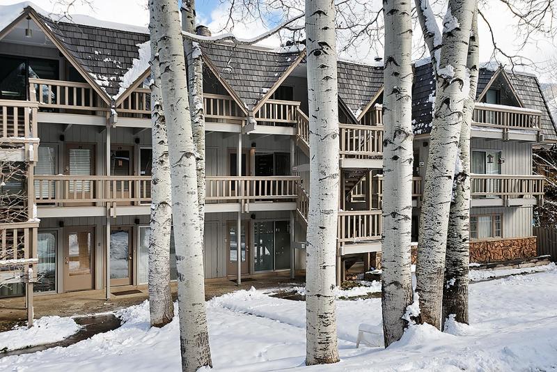 Modern Aspen Condo Private Deck with Koch Park Views - 2E - image 28