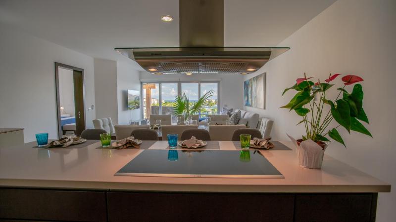 Casa Mar Penthouse Condo Mareazul Condo - image 10