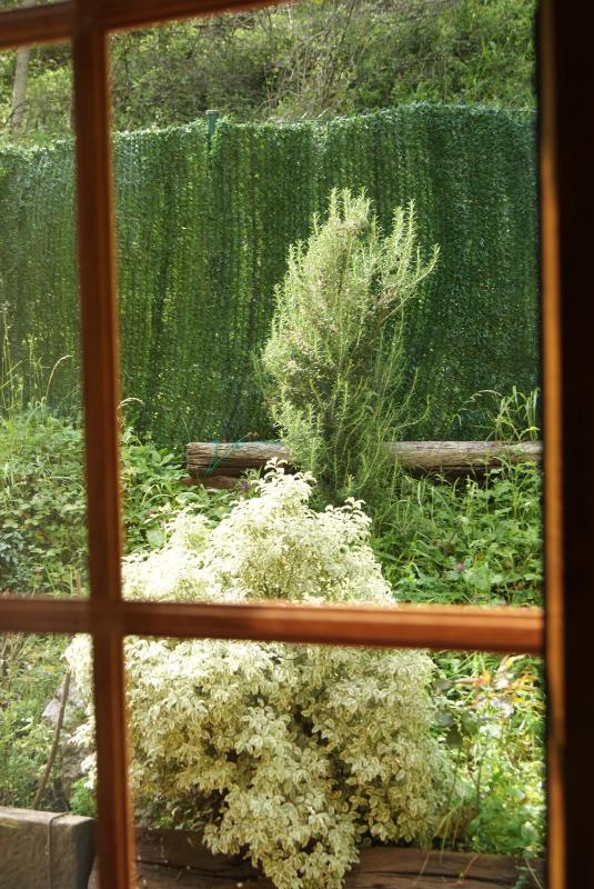 Single Room image 1
