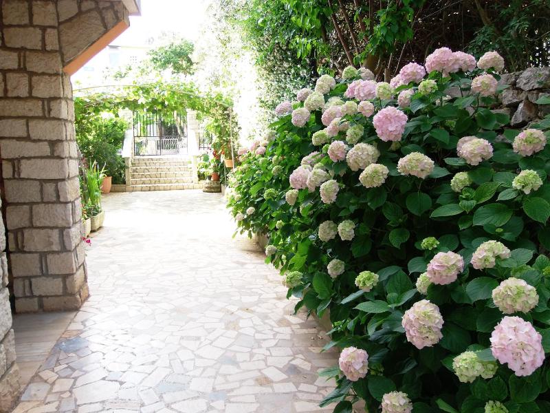 Apartments Beba - image 34