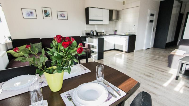 One-Bedroom Apartment (Widokowy) image 1