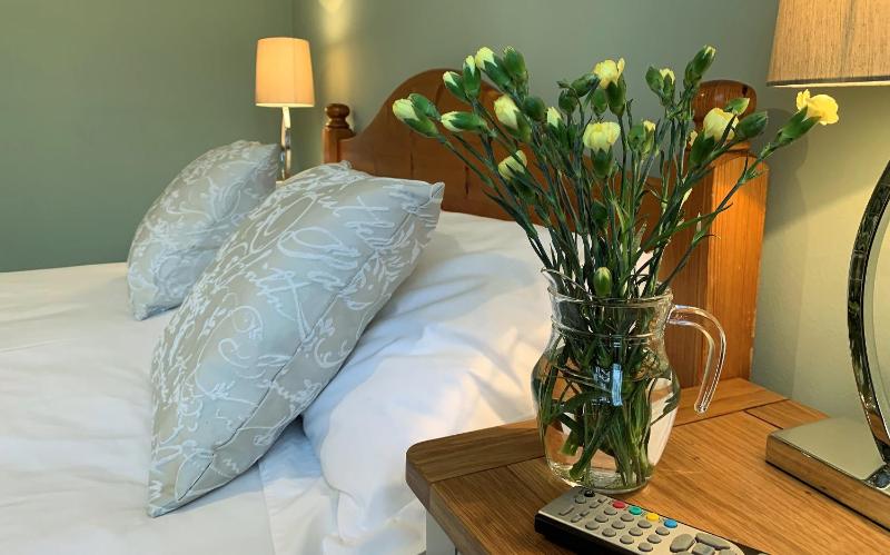 Double Room with Garden View image 4