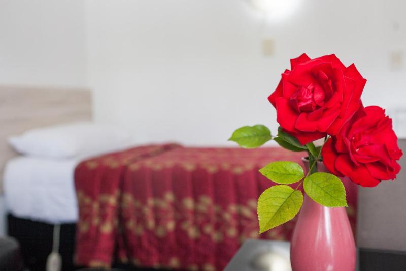 Rose Court Motel - image 43