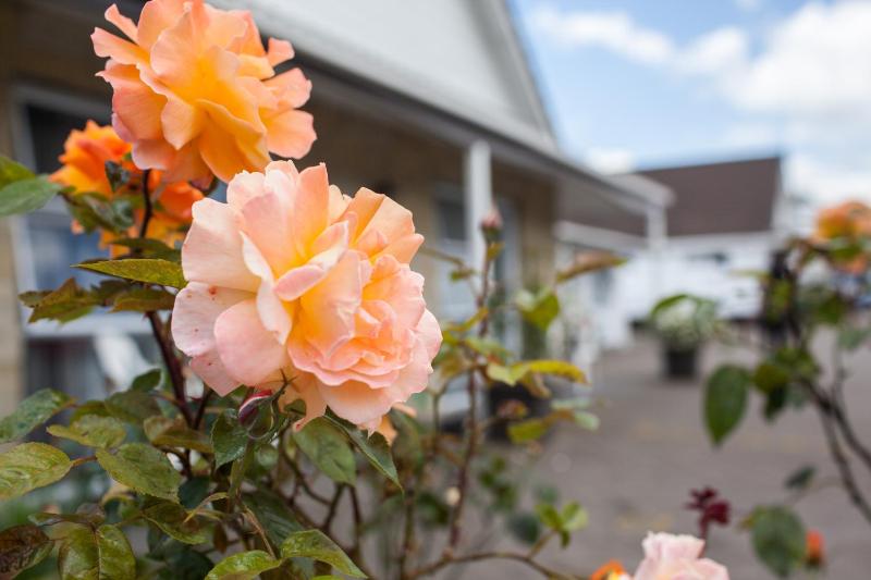 Rose Court Motel - image 35
