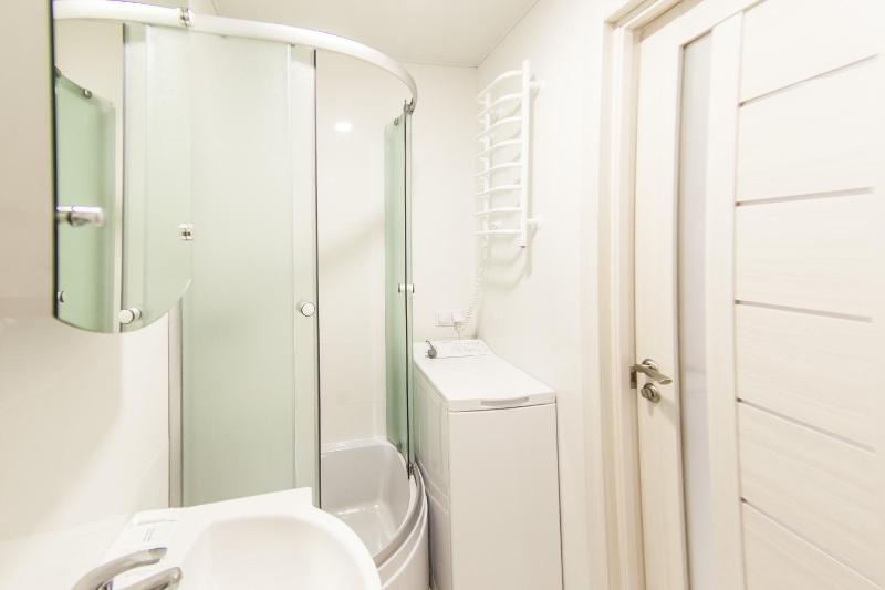 One-Bedroom Apartment image 4
