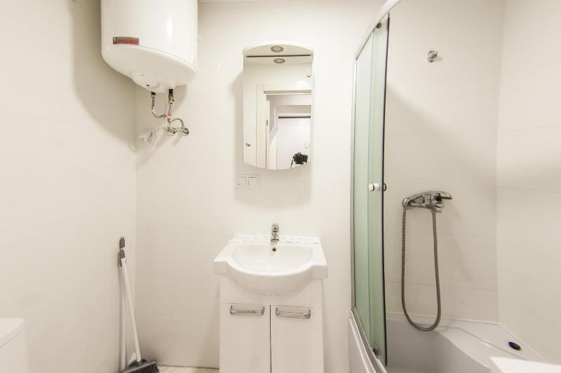 One-Bedroom Apartment image 3