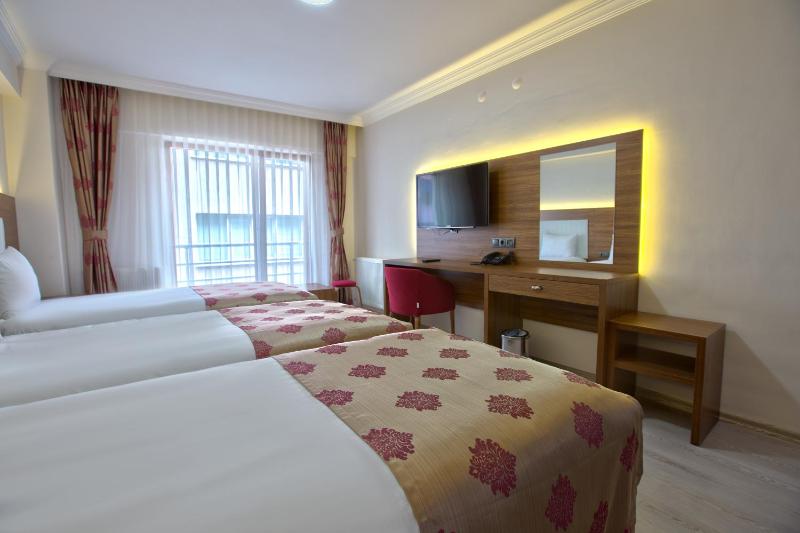Standard Triple Room image 4