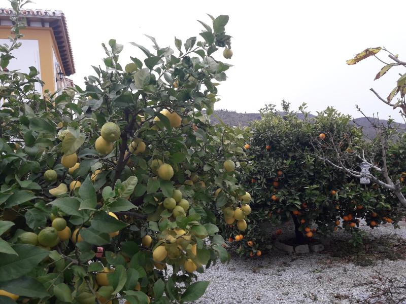Alojamiento Colina del Sol - image 3