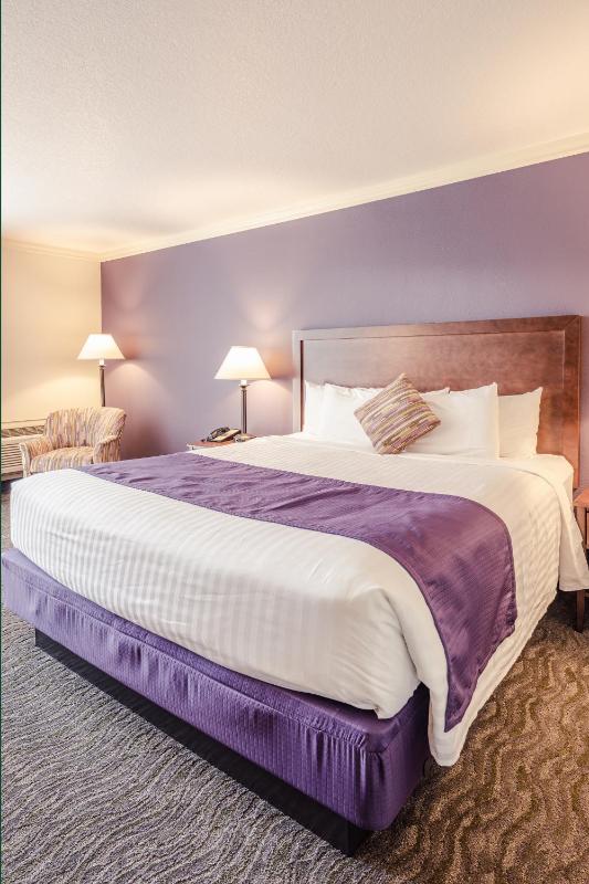 Comfort King Room image 1