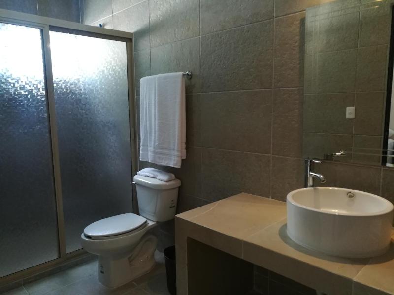 Hotel Virreyes - image 14