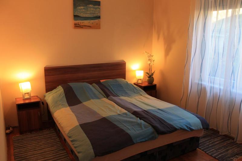 One-Bedroom Apartment image 1