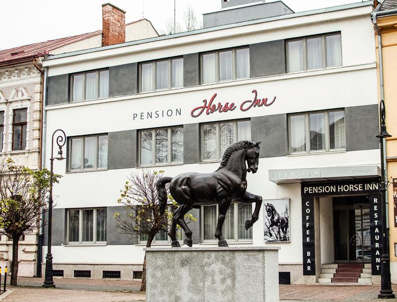 Pension Horse Inn - image 1