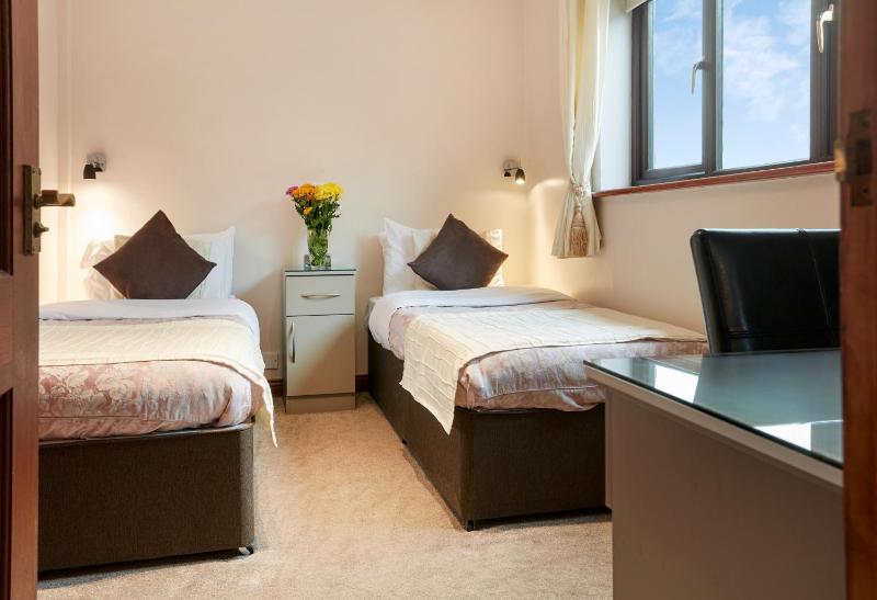 Standard Twin Room image 2