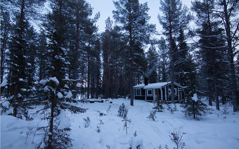 Small Wilderness Suite image 1