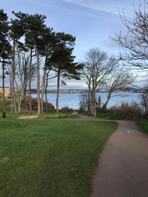 Elmdene - image 6