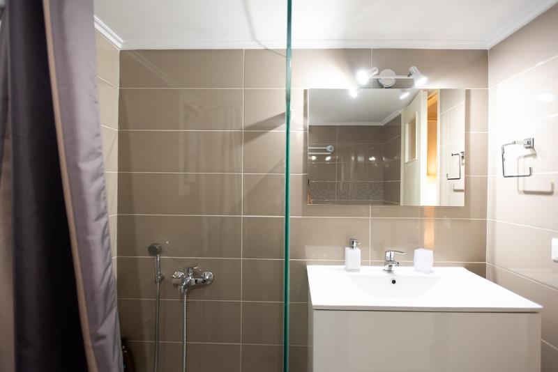 One-Bedroom Apartment image 4