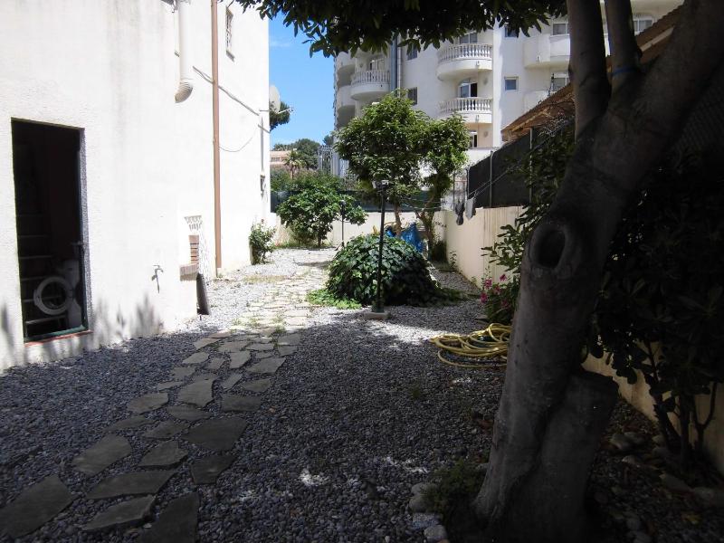 Majestic - image 24