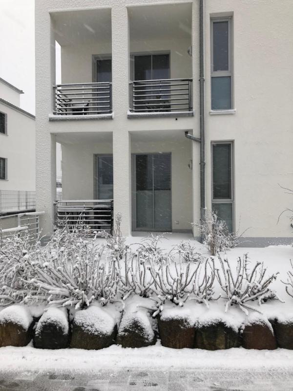 Ferienwohnung Möwennest - image 3