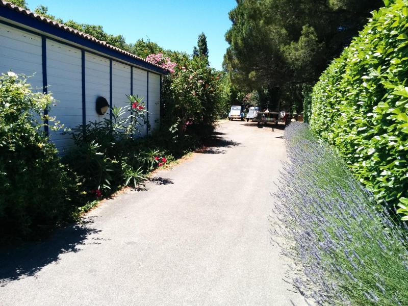 Bungalows & Rooms - Gît'Ôstal - image 39