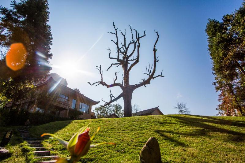 Evergreen Forest Retreat Zhangjiajie Near National Forest Park Avator Park Luxury Nature Escape Free Airport&Train Shuttle Service & Travel itinerary English Speaking Butler - image 49