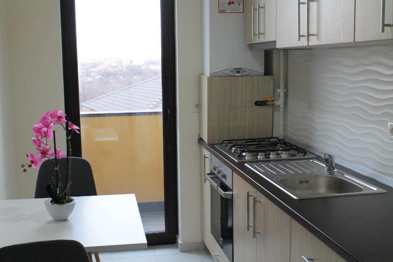 Penthouse Apartment image 4