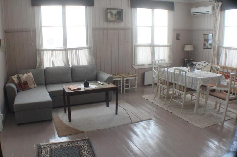 Large One-Bedroom Apartment image 3