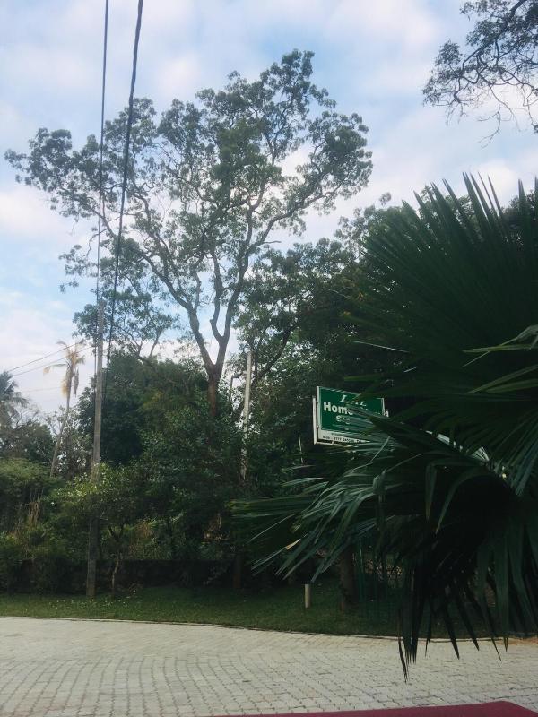 Lal Home Stay - image 13