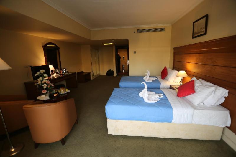 Superior Room With Nile View image 3