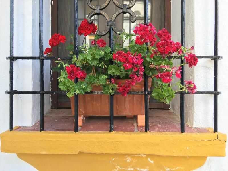 La Escondida Ronda B&B - image 14