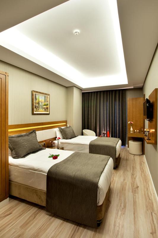 Standard Double or Twin Room image 3