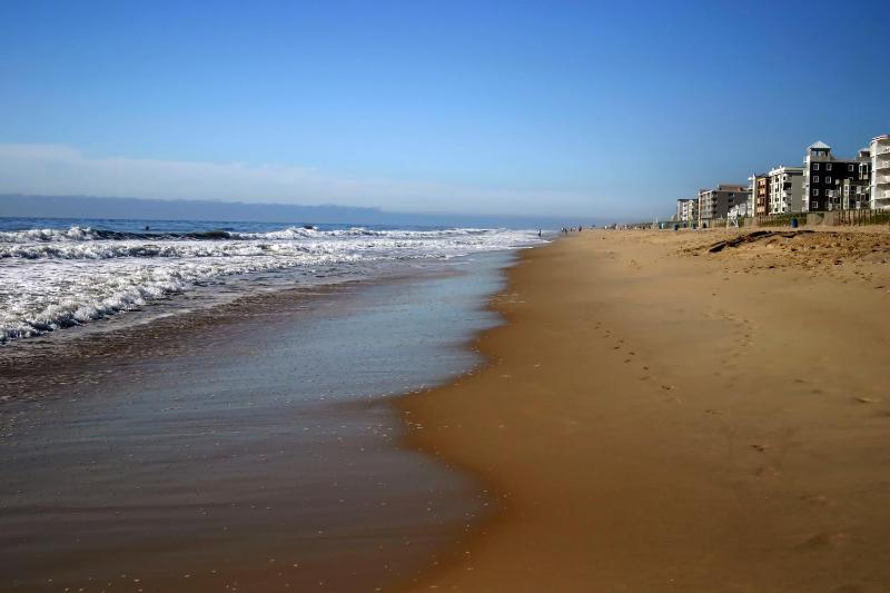Seabonay Oceanfront Motel - image 11