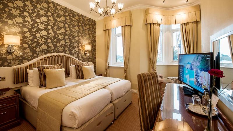 Double or Twin Room image 4