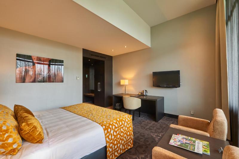Deluxe King Room image 4