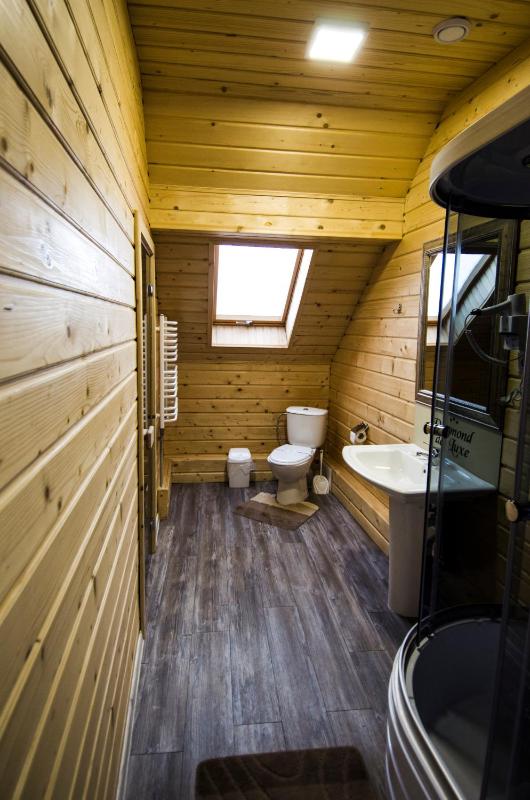 Standard Suite image 4