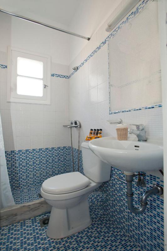 One-Bedroom Apartment (4 Adults) image 4