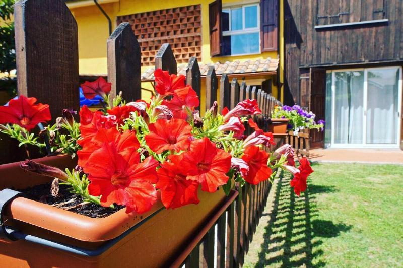 Agriturismo La Conte - image 2