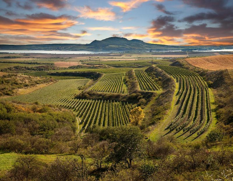 Luxury Apartment image 4