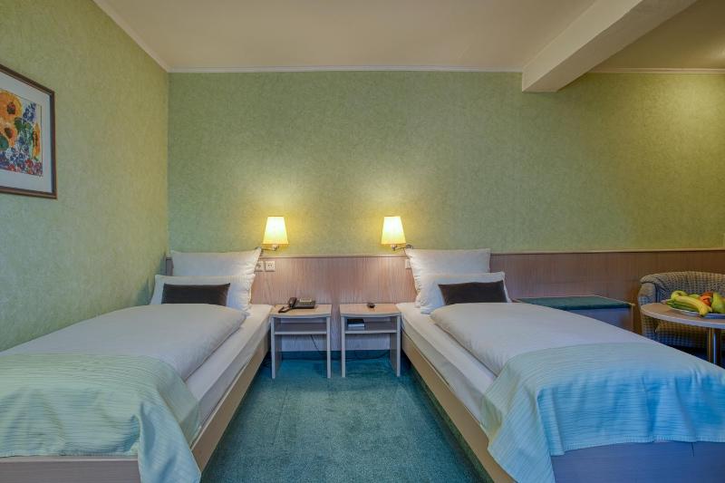Double or Twin Room with Shower image 1