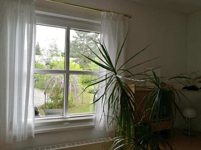 Standard Twin Room with Garden View image 3