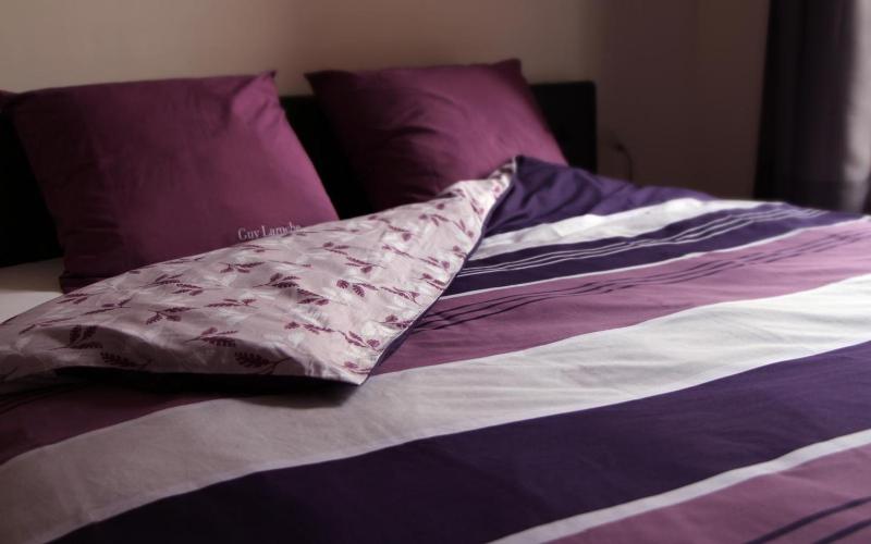 Double or Twin Room with Garden View image 3